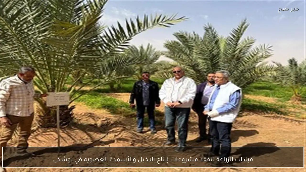 قيادات الزراعة تتفقد مشروعات إنتاج النخيل والأسمدة العضوية في توشكى