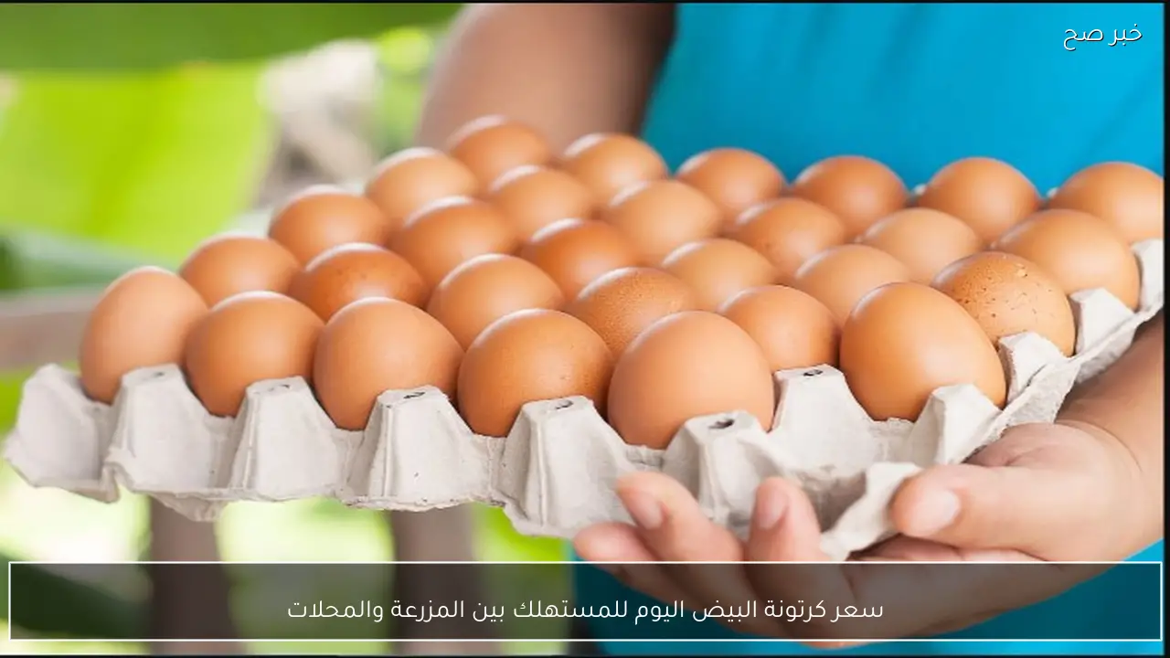 سعر كرتونة البيض اليوم للمستهلك بين المزرعة والمحلات