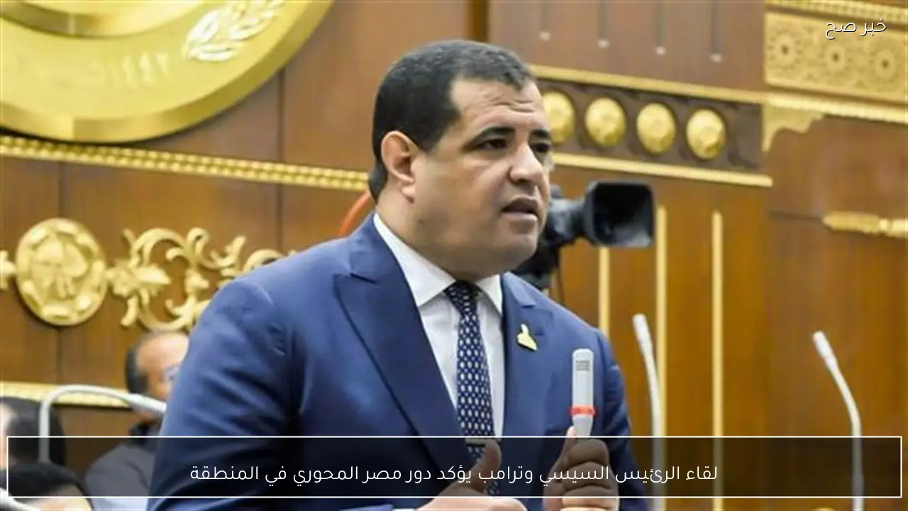 لقاء الرئيس السيسي وترامب يؤكد دور مصر المحوري في المنطقة