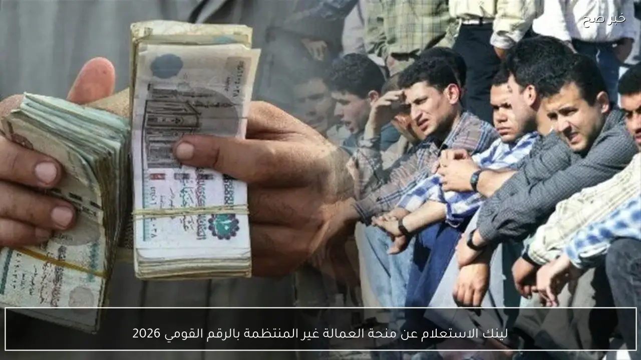 لينك الاستعلام عن منحة العمالة غير المنتظمة بالرقم القومي 2026 خطوة بخطوة