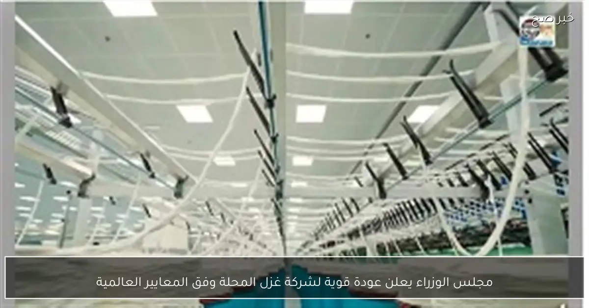مجلس الوزراء يعلن عودة قوية لشركة غزل المحلة وفق المعايير العالمية