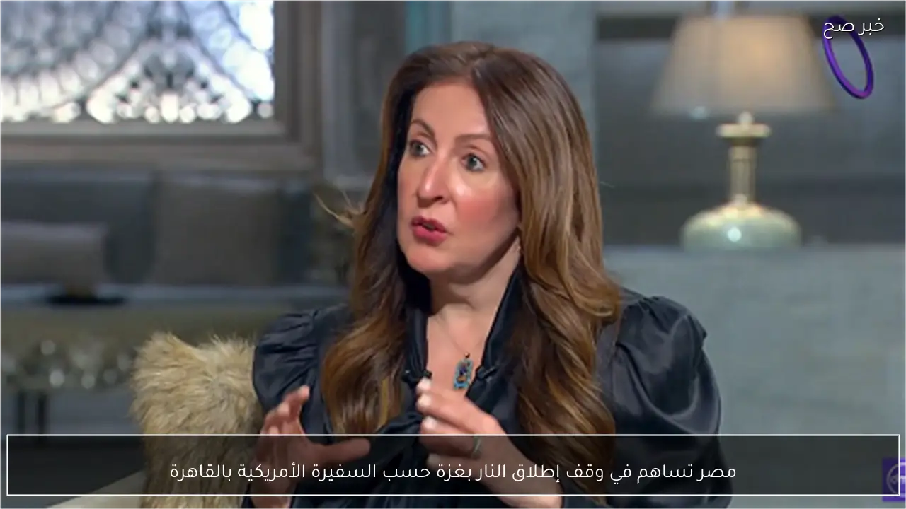 مصر تساهم في وقف إطلاق النار بغزة حسب السفيرة الأمريكية بالقاهرة