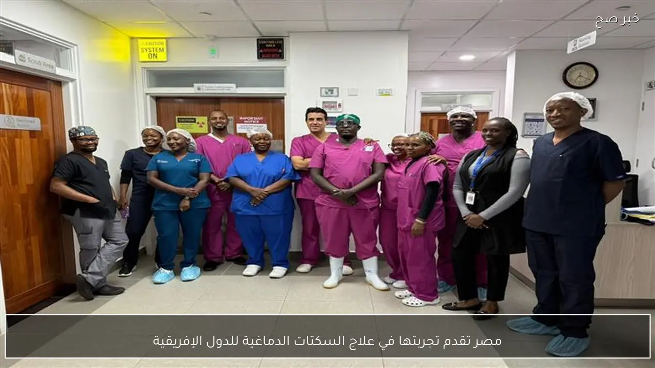 مصر تقدم تجربتها في علاج السكتات الدماغية للدول الإفريقية
