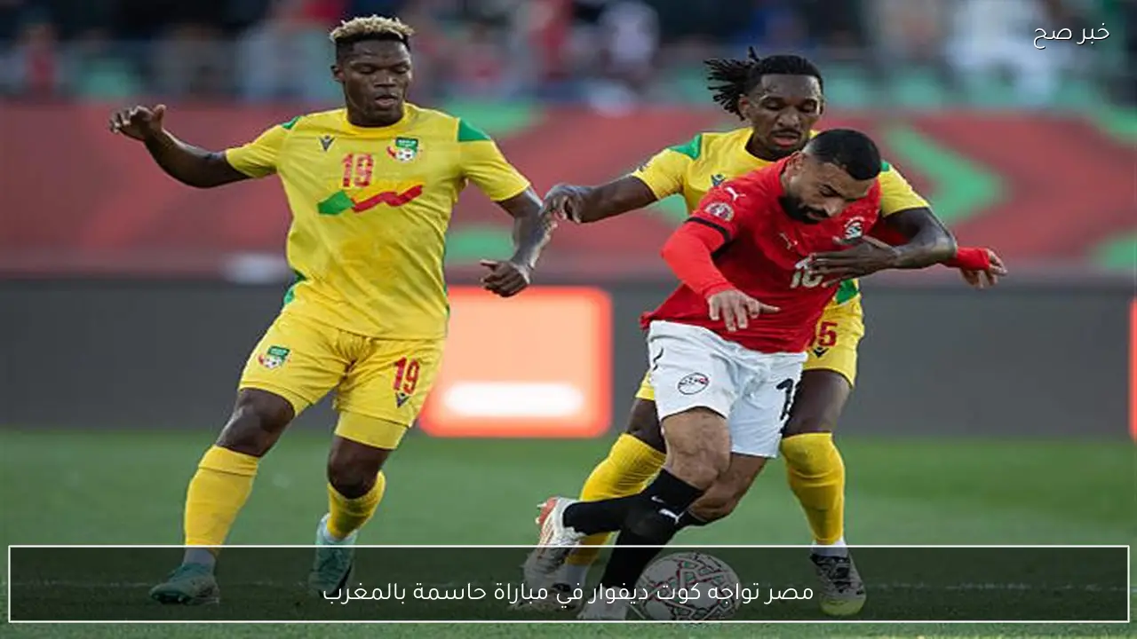 مصر تواجه كوت ديفوار في مباراة حاسمة بالمغرب