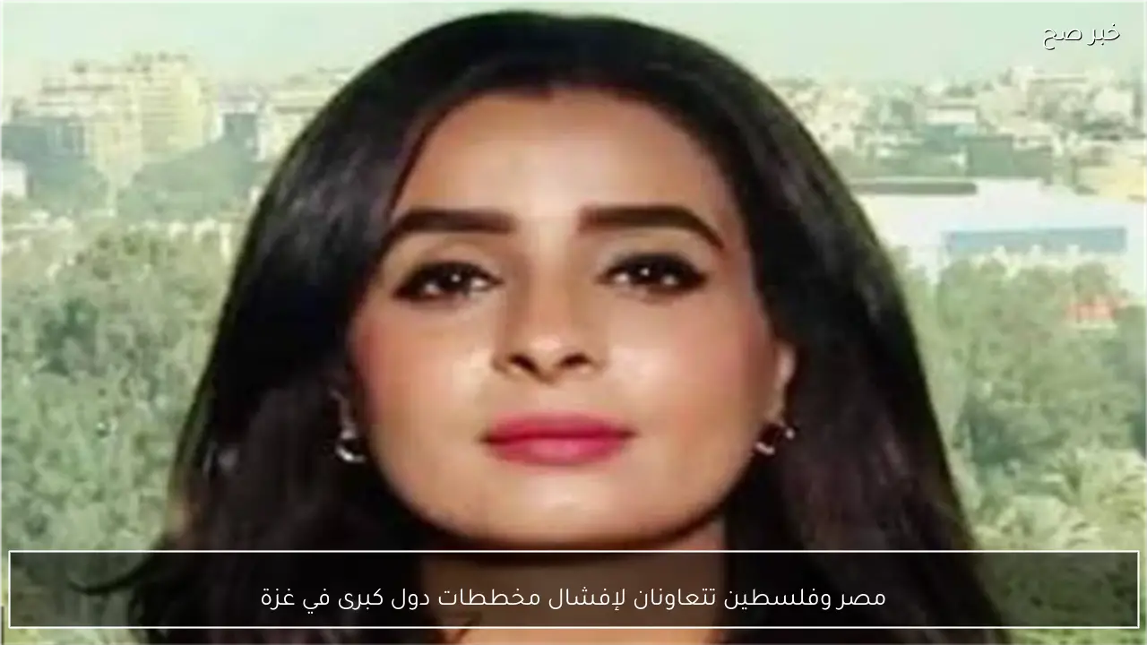 مصر وفلسطين تتعاونان لإفشال مخططات دول كبرى في غزة