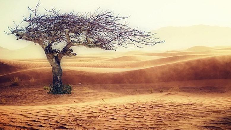 «معلومات الوزراء» يرصد وعي المصريين بقضية <a href=