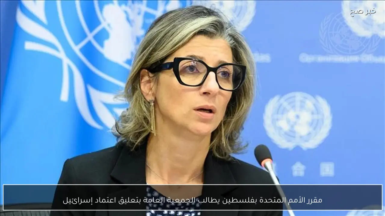 مقرر الأمم المتحدة بفلسطين يطالب الجمعية العامة بتعليق اعتماد إسرائيل