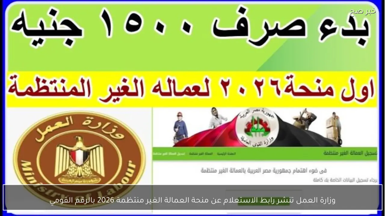 وزارة العمل تنشر رابط الاستعلام عن منحة العمالة الغير منتظمة 2026 بالرقم القومي