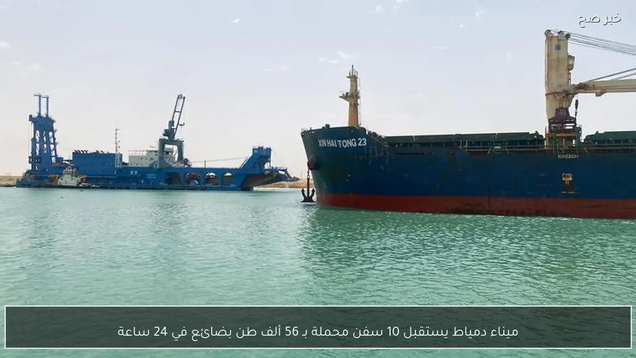 ميناء دمياط يستقبل 10 سفن محملة بـ 56 ألف طن بضائع في 24 ساعة
