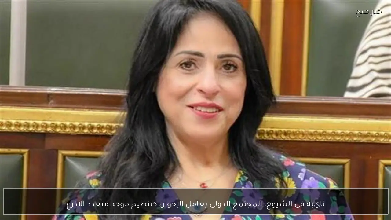 نائبة في الشيوخ: المجتمع الدولي يعامل الإخوان كتنظيم موحد متعدد الأذرع