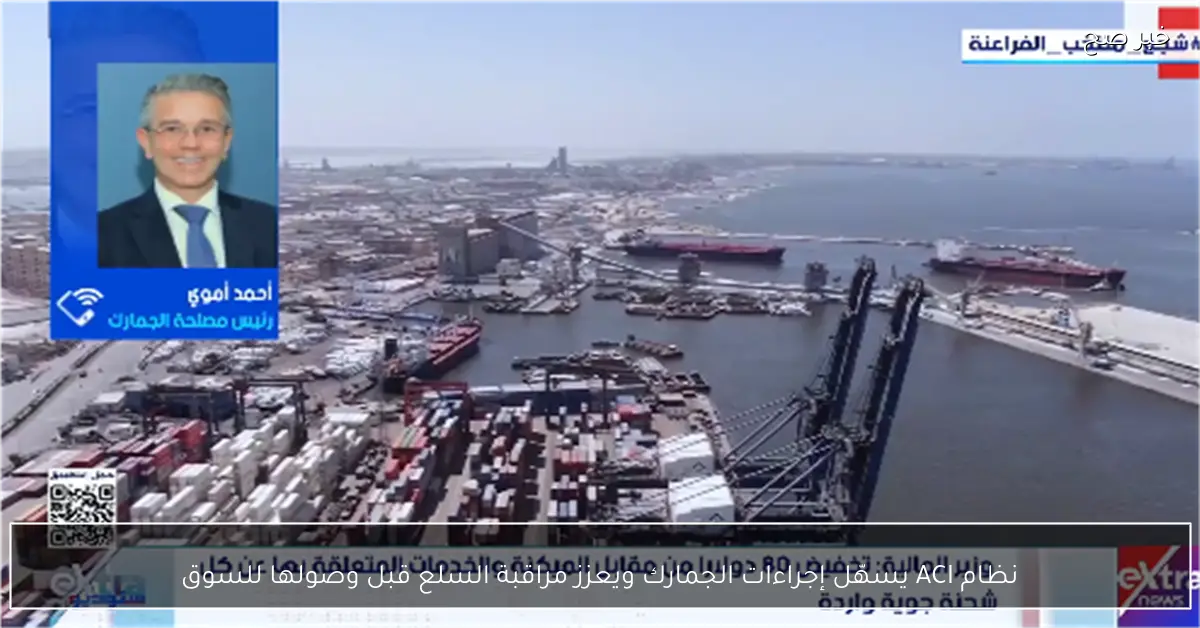 نظام ACI يسهّل إجراءات الجمارك ويعزز مراقبة السلع قبل وصولها للسوق