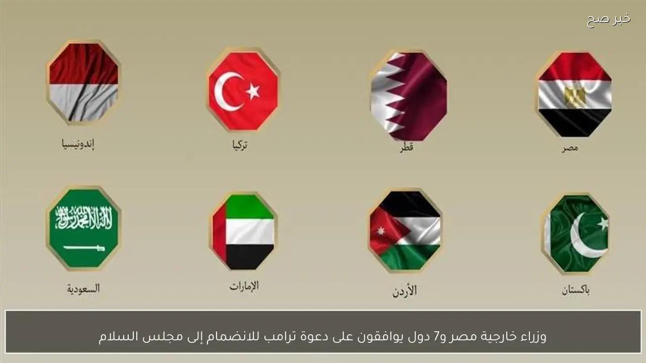 وزراء خارجية مصر و7 دول يوافقون على دعوة ترامب للانضمام إلى مجلس السلام