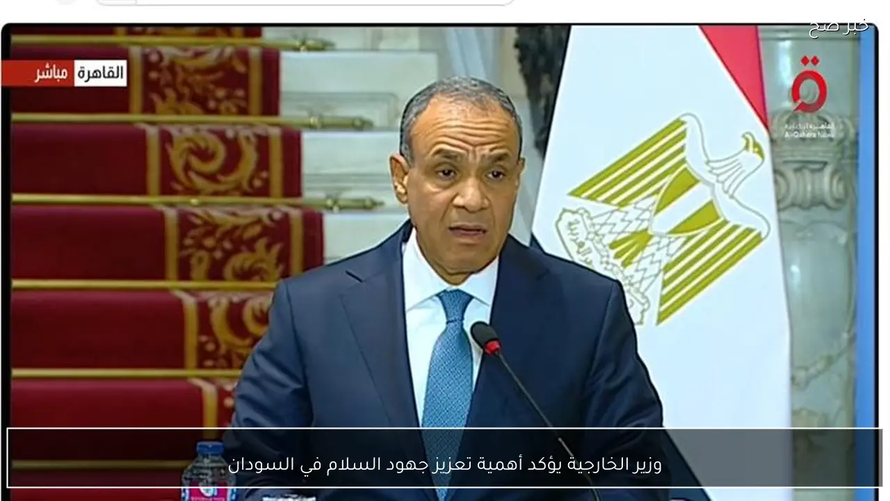 وزير الخارجية يؤكد أهمية تعزيز جهود السلام في السودان