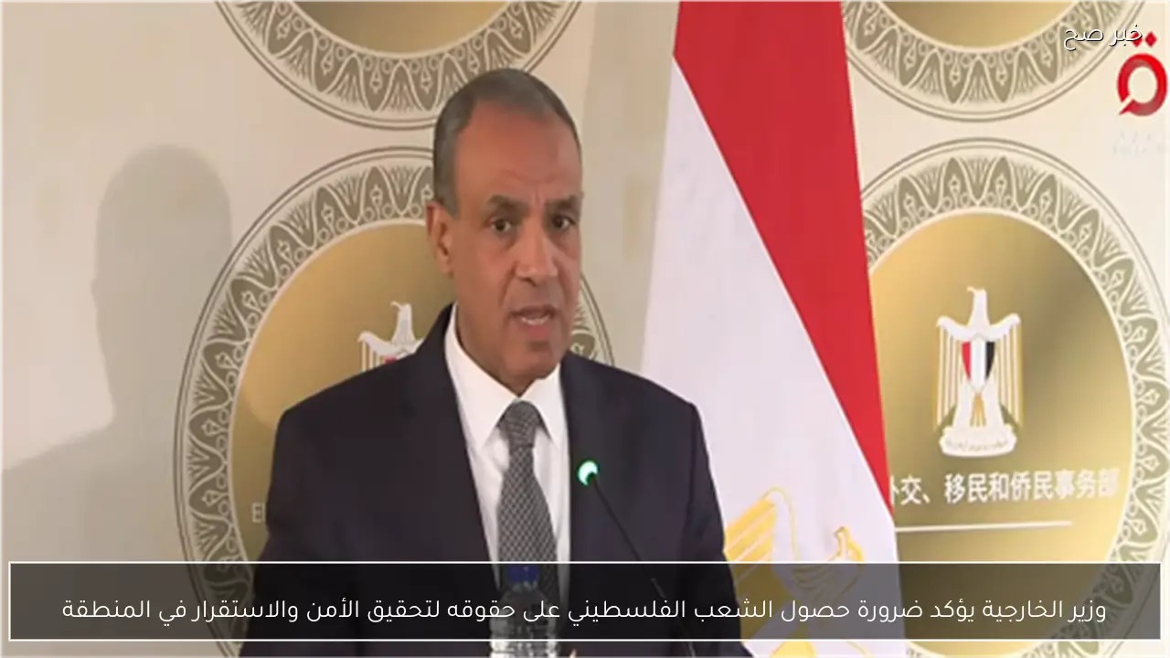 وزير الخارجية يؤكد ضرورة حصول الشعب الفلسطيني على حقوقه لتحقيق الأمن والاستقرار في المنطقة