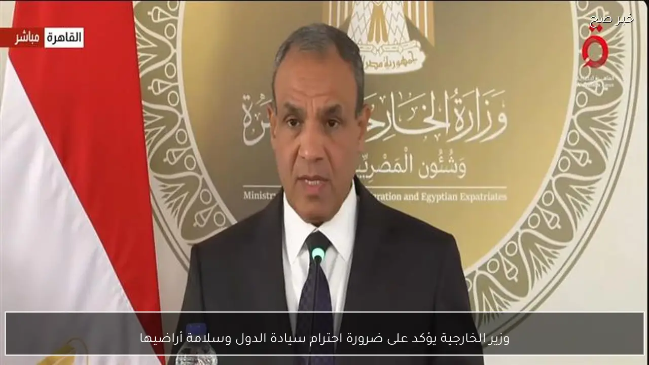 وزير الخارجية يؤكد على ضرورة احترام سيادة الدول وسلامة أراضيها
