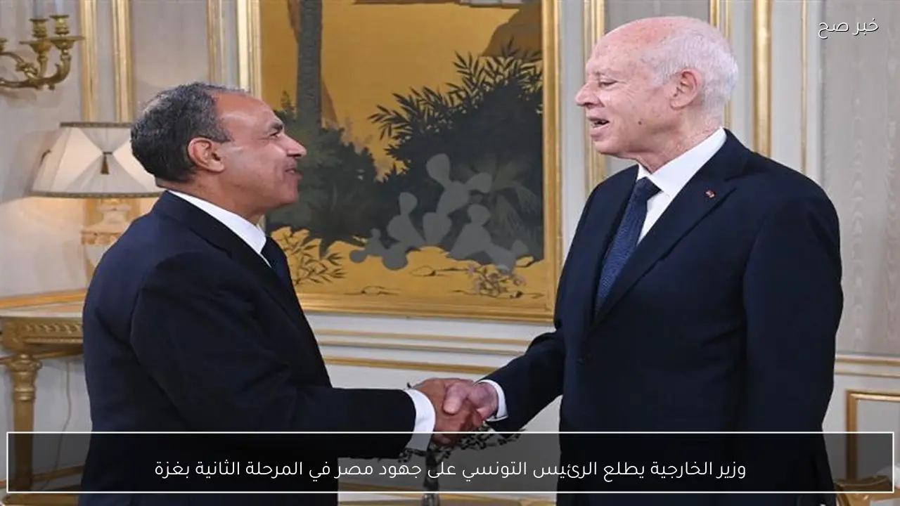 وزير الخارجية يطلع الرئيس التونسي على جهود مصر في المرحلة الثانية بغزة