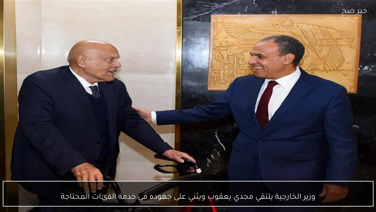 وزير الخارجية يلتقي مجدي يعقوب ويثني على جهوده في خدمة الفئات المحتاجة