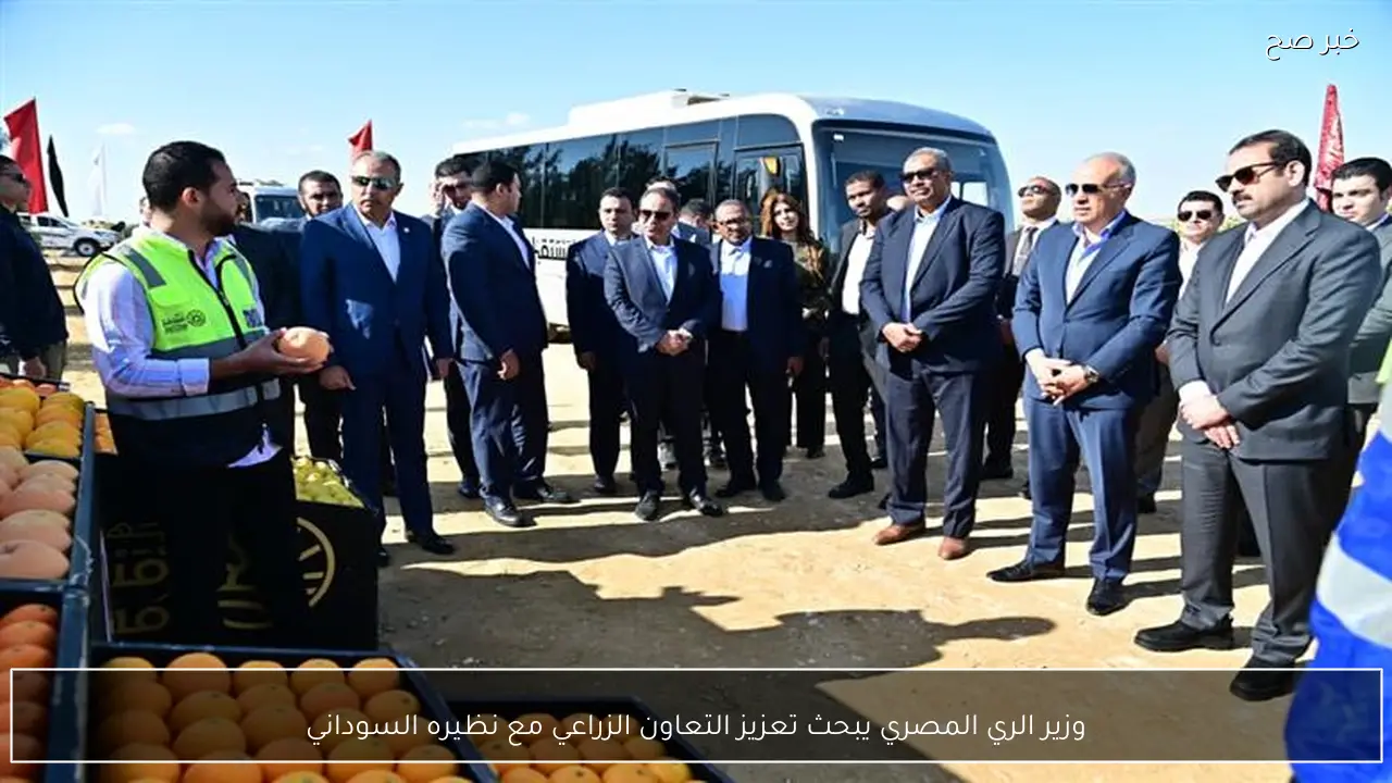 وزير الري المصري يبحث تعزيز التعاون الزراعي مع نظيره السوداني