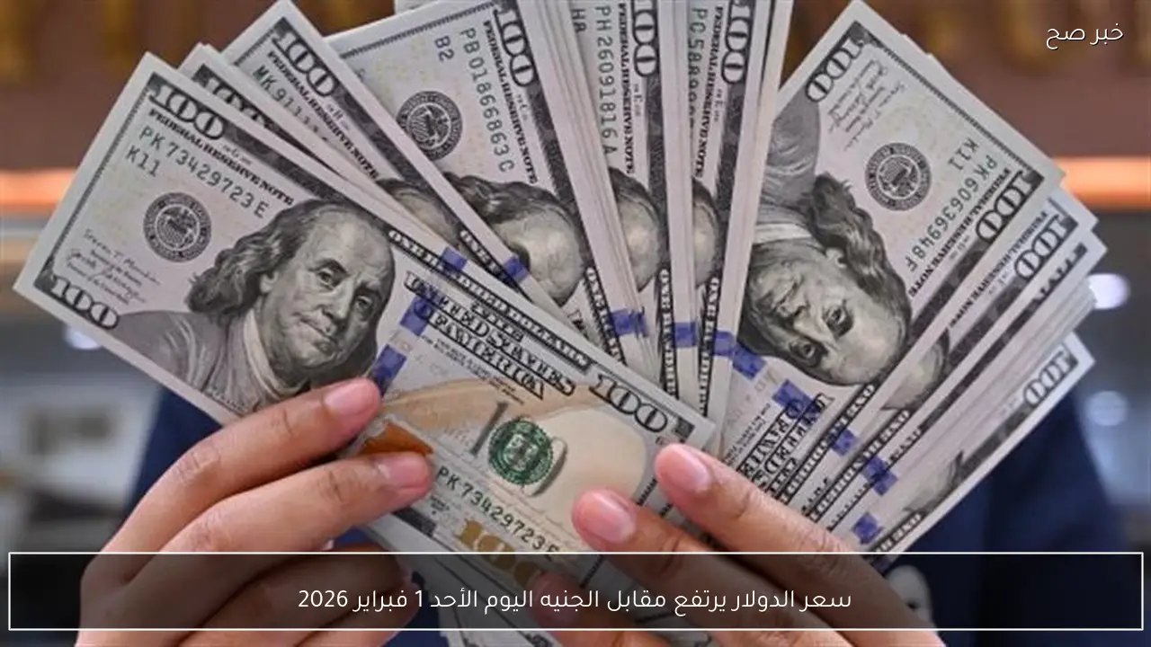 سعر الدولار يرتفع مقابل الجنيه اليوم الأحد 1 فبراير 2026