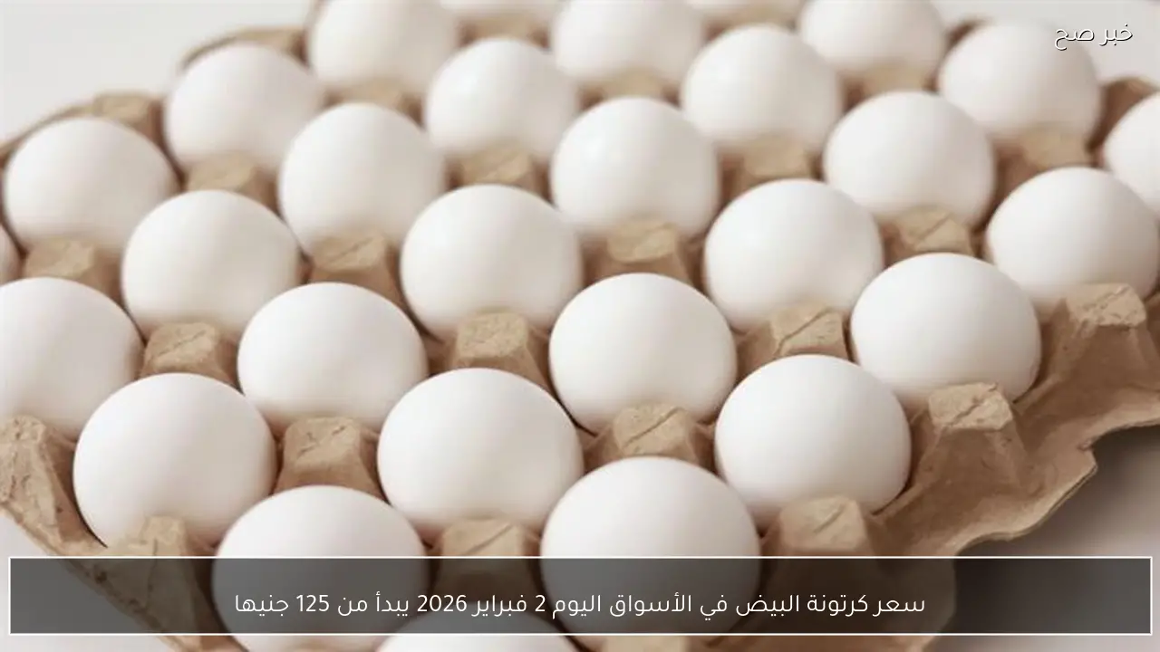 سعر كرتونة البيض في الأسواق اليوم 2 فبراير 2026 يبدأ من 125 جنيها