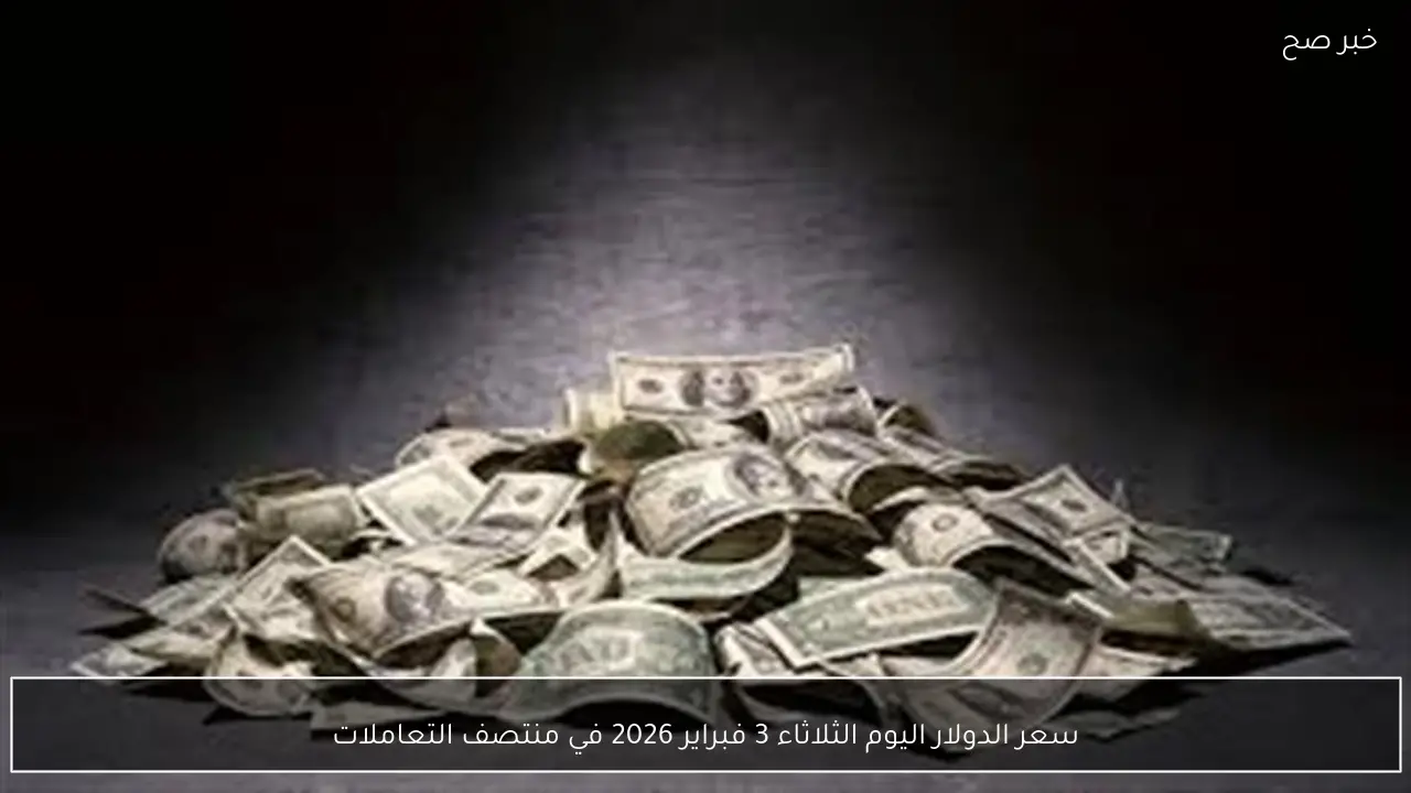 سعر الدولار اليوم الثلاثاء 3 فبراير 2026 في منتصف التعاملات