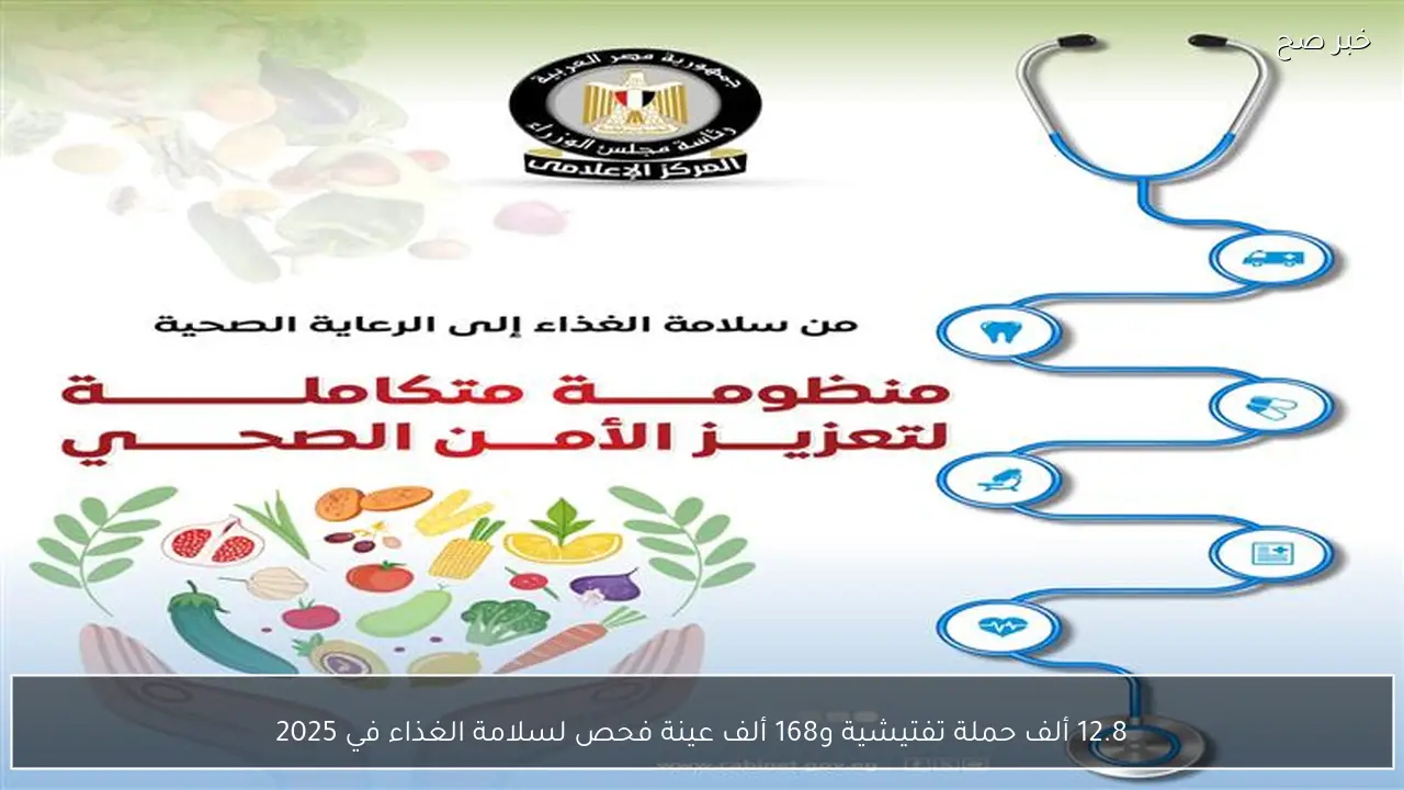 12.8 ألف حملة تفتيشية و168 ألف عينة فحص لسلامة الغذاء في 2025