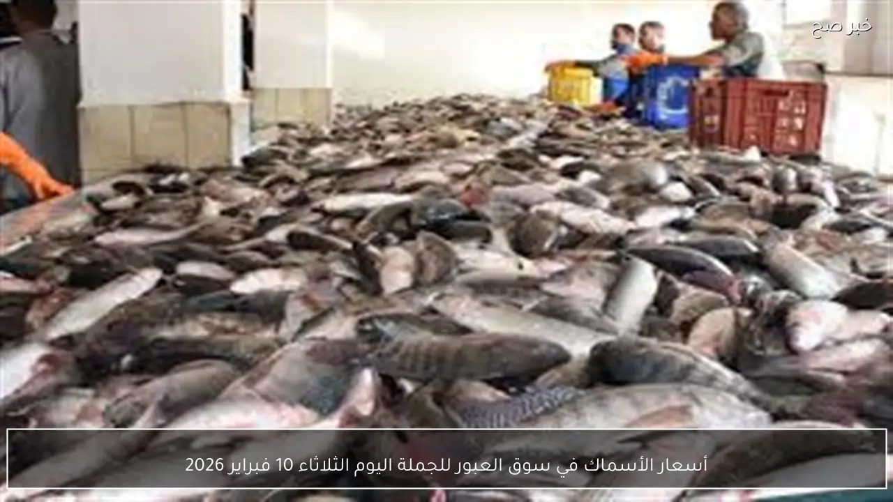 أسعار الأسماك في سوق العبور للجملة اليوم الثلاثاء 10 فبراير 2026