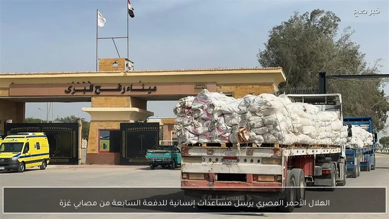 الهلال الأحمر المصري يرسل مساعدات إنسانية للدفعة السابعة من مصابي غزة