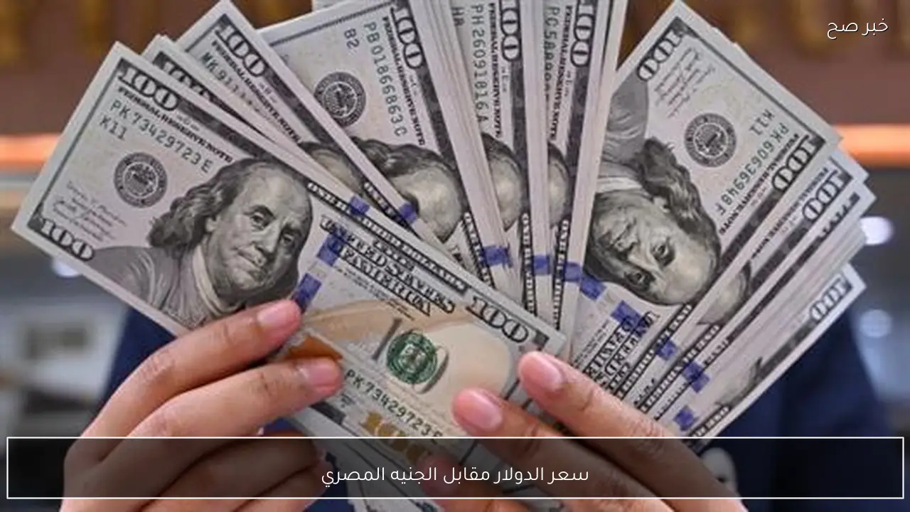 سعر الدولار مقابل الجنيه المصري اليوم الثلاثاء في البنوك المصرية.. شوف وصل كام