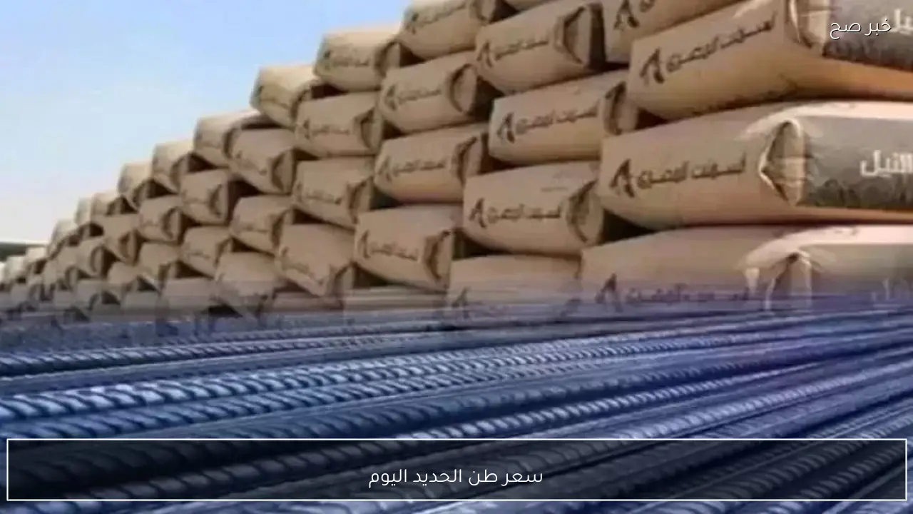 استقرار ام ارتفاع.. سعر طن الحديد اليوم الثلاثاء 10 فبراير 2026 بالمصانع والشركات المصرية