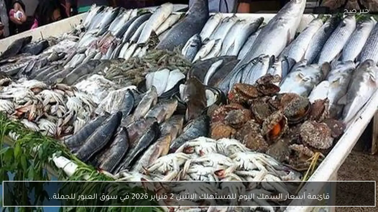 قائمة أسعار السمك اليوم للمستهلك الاثنين 2 فبراير 2026 في سوق العبور للجملة.. الماكريل المجمد بين 120 لـ 200 جنيهًا