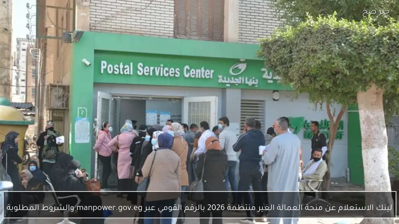 لينك الاستعلام عن منحة العمالة الغير منتظمة 2026 بالرقم القومي عبر manpower.gov.eg والشروط المطلوبة