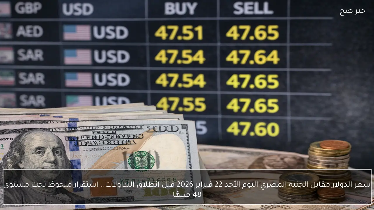 سعر الدولار مقابل الجنيه المصري اليوم الأحد 22 فبراير 2026 قبل انطلاق التداولات.. استقرار ملحوظ تحت مستوى 48 جنيهًا