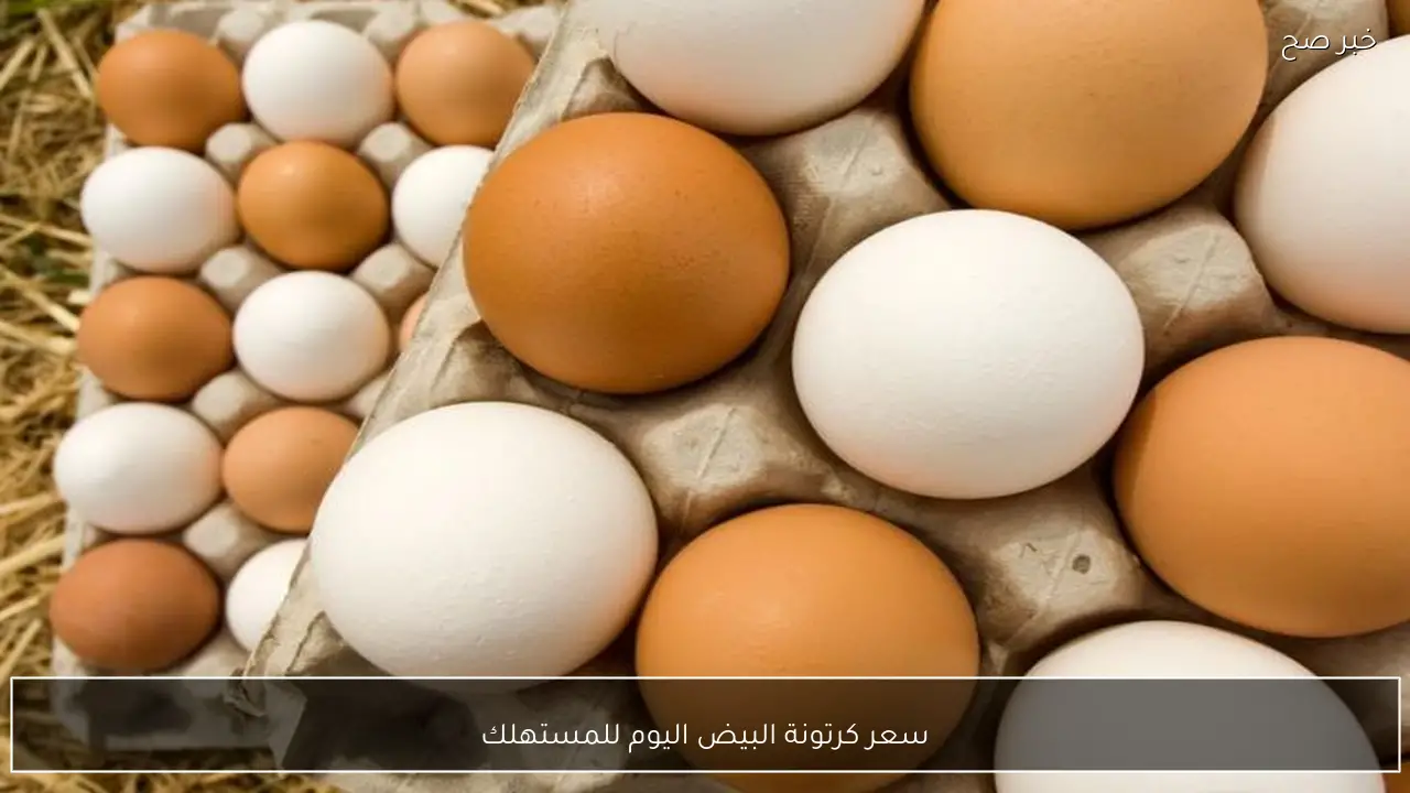 ارتفاع سعر كرتونة البيض اليوم للمستهلك في الاسواق المصرية (احمر وابيض وبلدي)