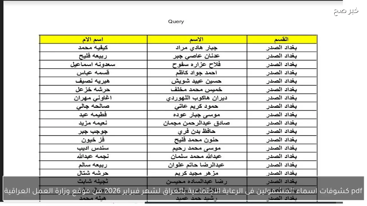 pdf كشوفات اسماء المشمولين فى الرعاية الاجتماعية بالعراق لشهر فبراير 2026 من موقع وزارة العمل العراقية