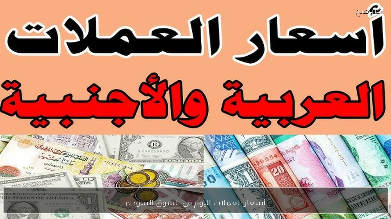 أسعار العملات اليوم في السوق السوداء مقابل الجنية المصري.. الدولار واليورو بكام؟