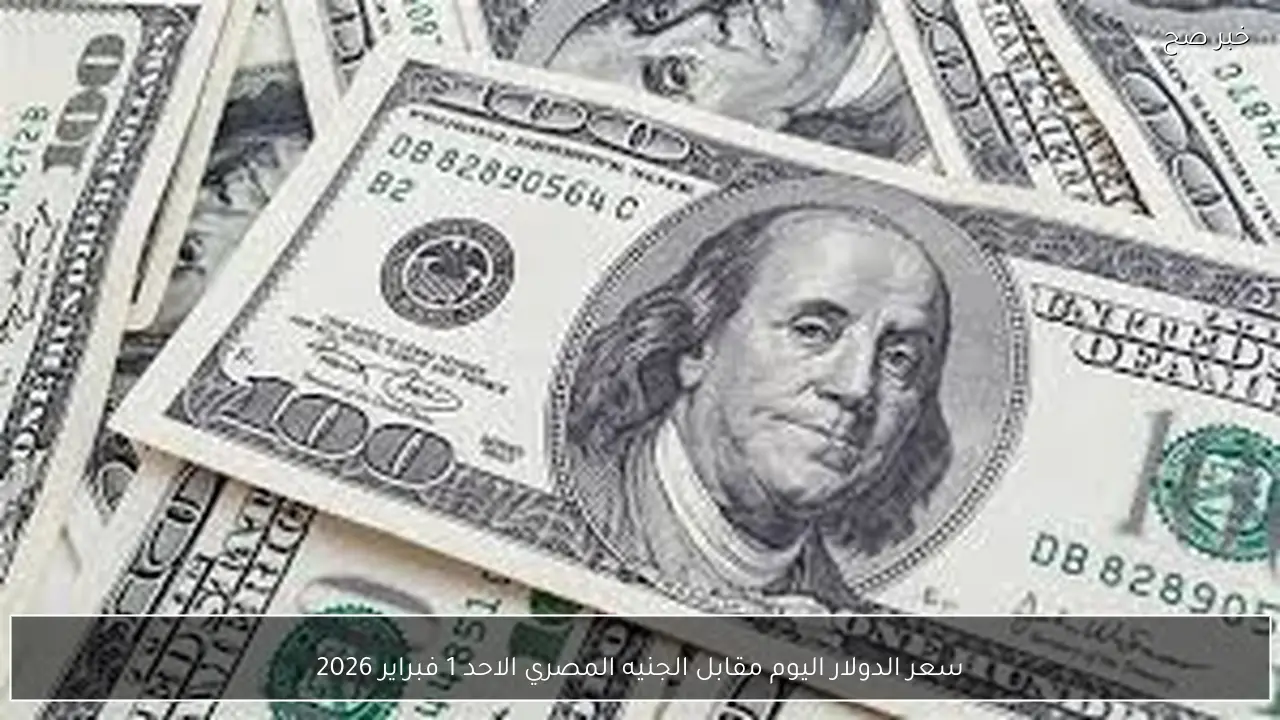 سعر الدولار اليوم مقابل الجنيه المصري الاحد 1 فبراير 2026 في البنوك والسوق السوداء.. آخر تحديث