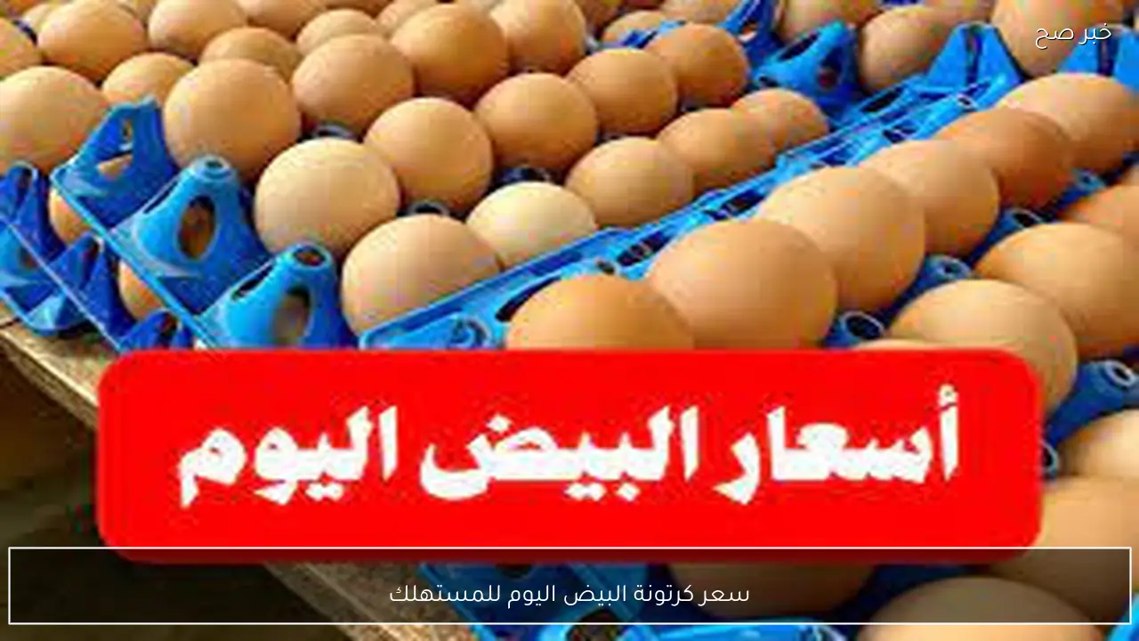 ارتفاع ام استقرار.. سعر كرتونة البيض اليوم للمستهلك الاحد 1 فبراير 2026 في جميع الاسواق المصرية