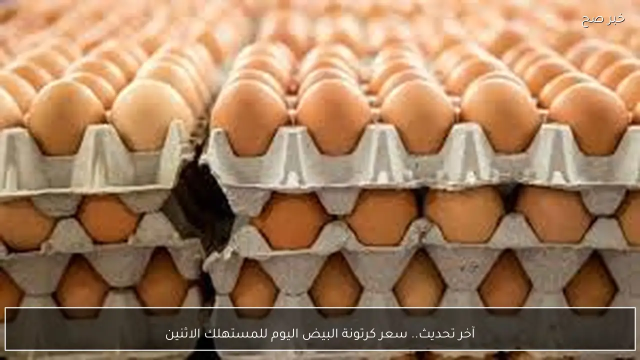 آخر تحديث.. سعر كرتونة البيض اليوم للمستهلك الاثنين 2 فبراير 2026 في الاسواق المحلية