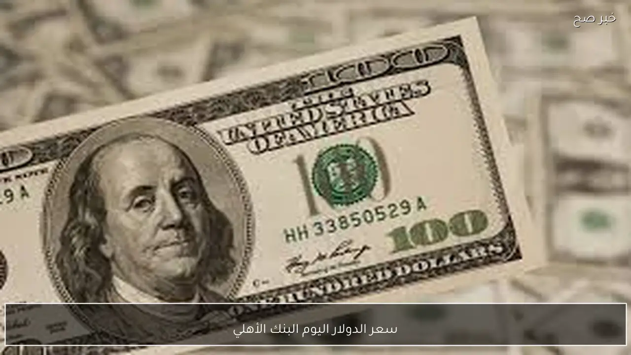 الاخضر مستقر.. سعر الدولار اليوم البنك الأهلي الاربعاء 11 فبراير 2026 مقابل الجنيه المصري