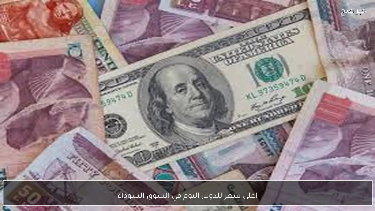 اعلى سعر للدولار اليوم في السوق السوداء الخميس 12-2-2026 مقابل الجنيه المصري وفق آخر تحديث