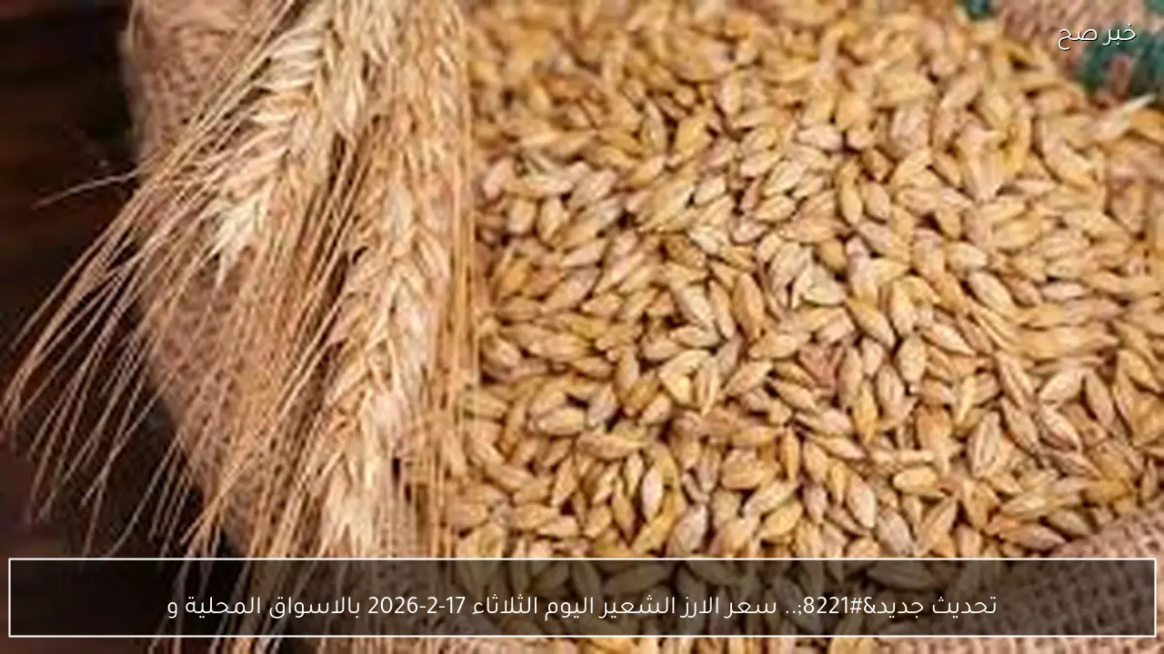 تحديث جديد”.. سعر الارز الشعير اليوم الثلاثاء 17-2-2026 بالاسواق المحلية
