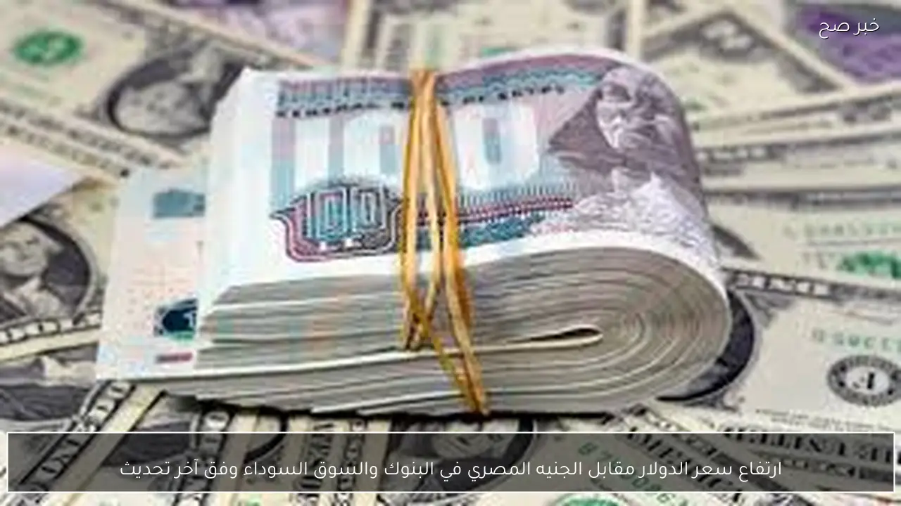 ارتفاع سعر الدولار مقابل الجنيه المصري في البنوك والسوق السوداء وفق آخر تحديث
