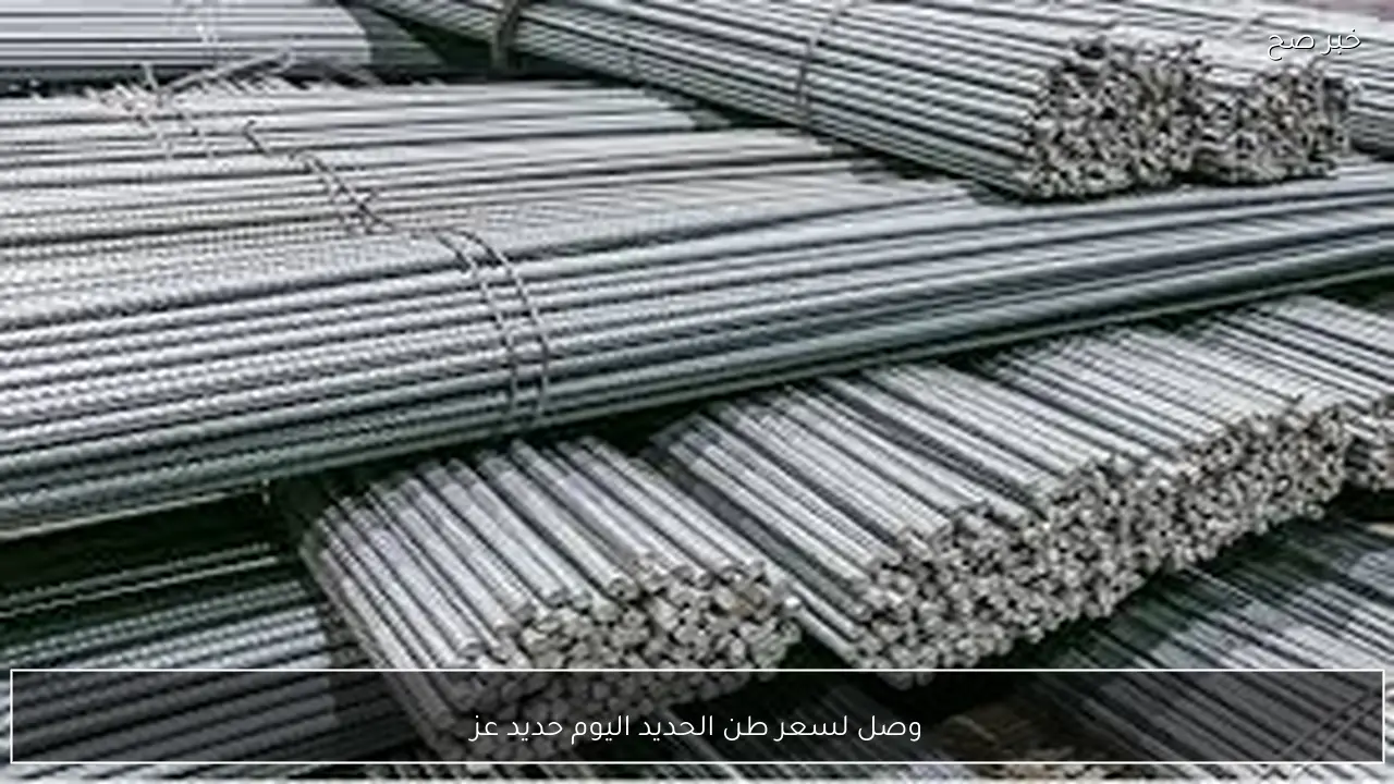 وصل لكام؟.. سعر طن الحديد اليوم حديد عز السبت 21 فبراير 2026 للمستهلك في مصر