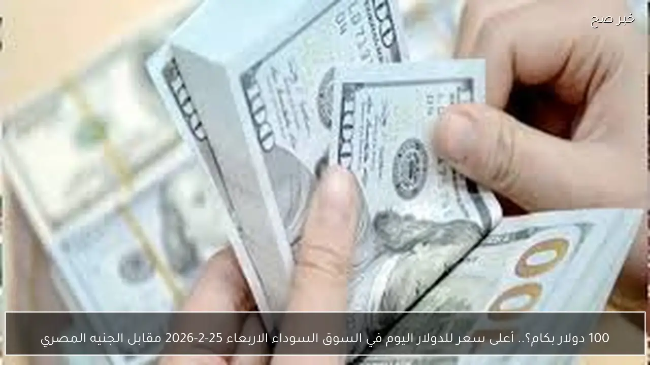 100 دولار بكام؟.. أعلى سعر للدولار اليوم في السوق السوداء الاربعاء 25-2-2026 مقابل الجنيه المصري