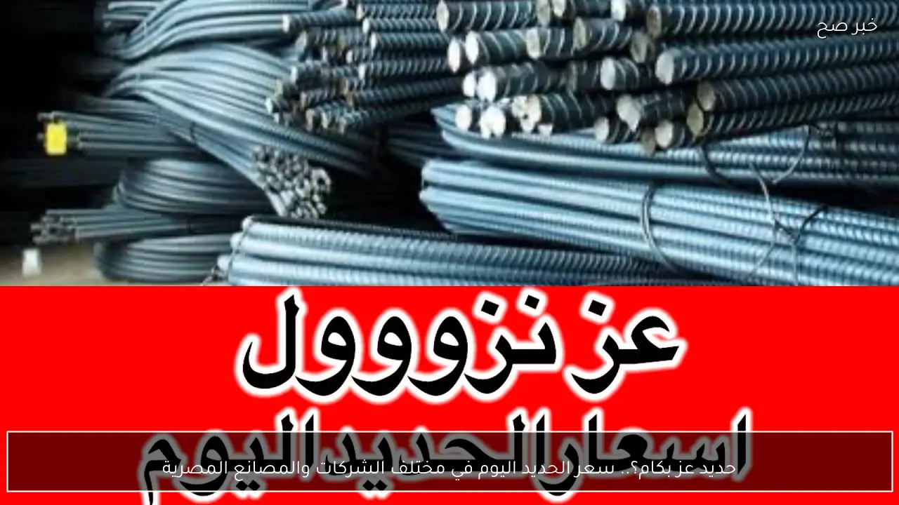 حديد عز بكام؟.. سعر الحديد اليوم في مختلف الشركات والمصانع المصرية