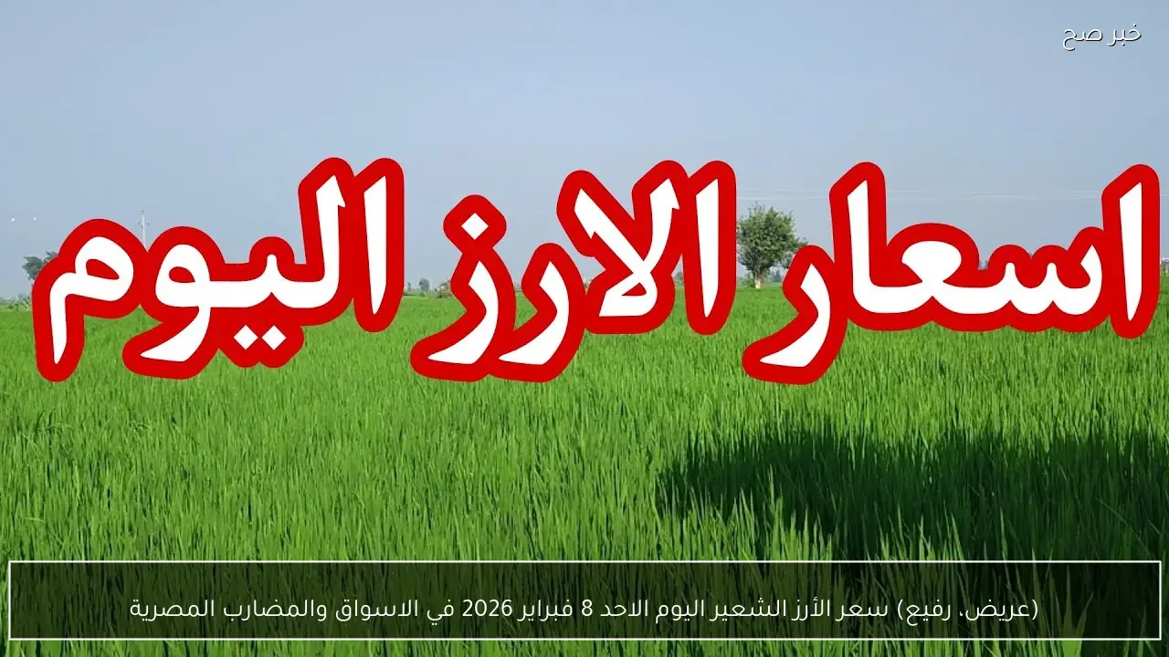 (عريض، رفيع) سعر الأرز الشعير اليوم الاحد 8 فبراير 2026 في الاسواق والمضارب المصرية