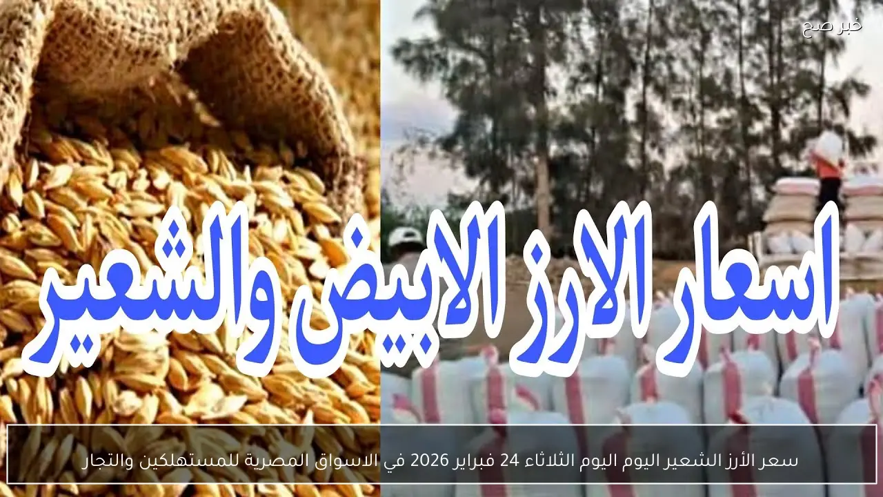 (رفيع، عريض) سعر الأرز الشعير اليوم اليوم الثلاثاء 24 فبراير 2026 في الاسواق المصرية للمستهلكين والتجار