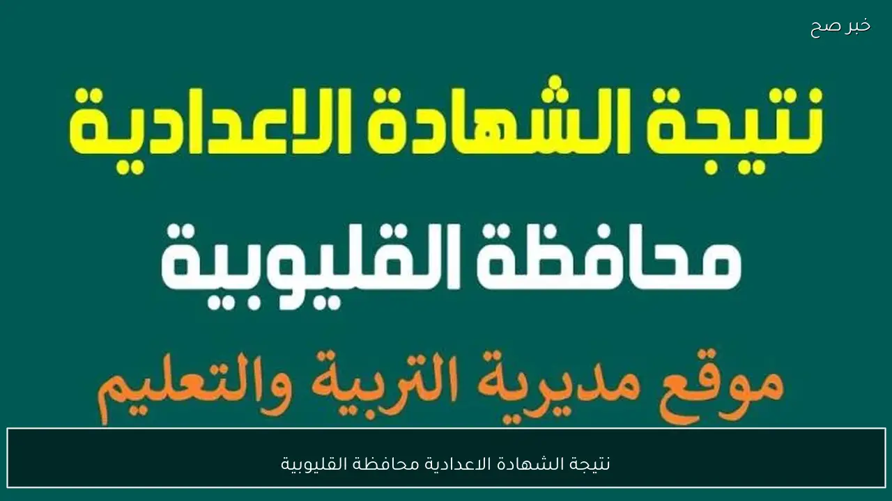 متاح الآن.. نتيجة الشهادة الاعدادية محافظة القليوبية 2026 الترم الاول برقم الجلوس والاسم