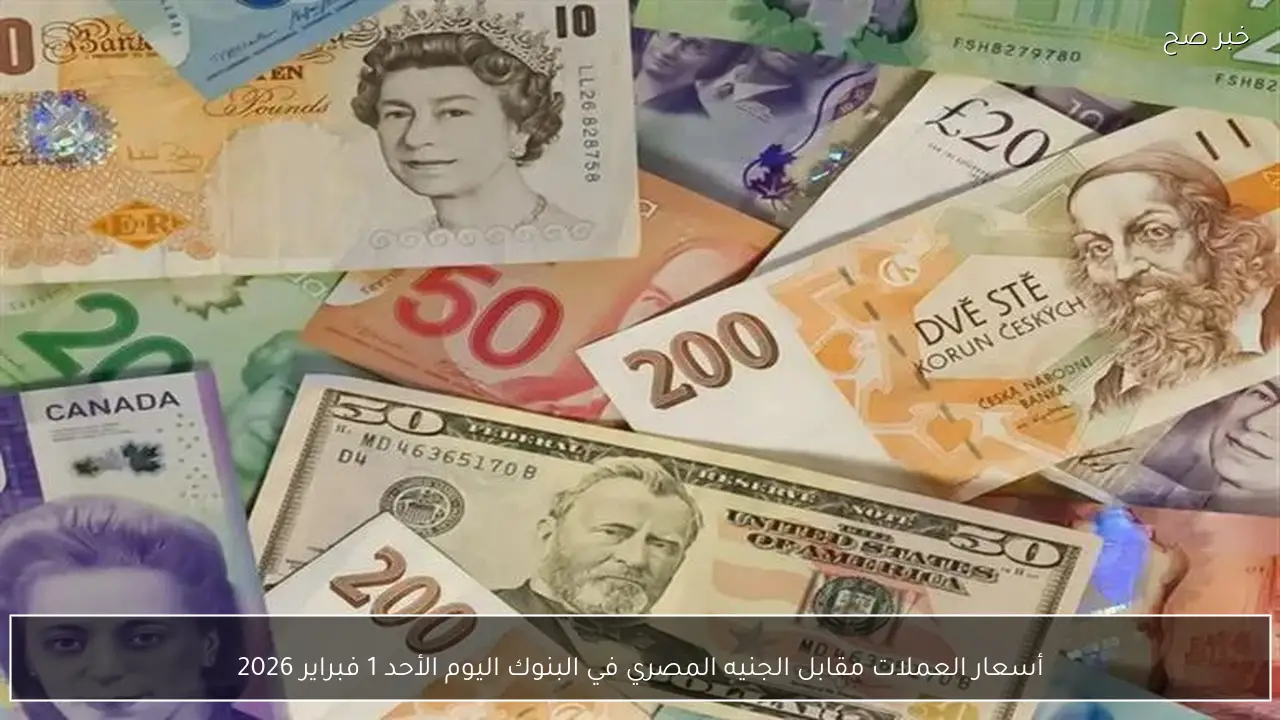 أسعار العملات مقابل الجنيه المصري في البنوك اليوم الأحد 1 فبراير 2026